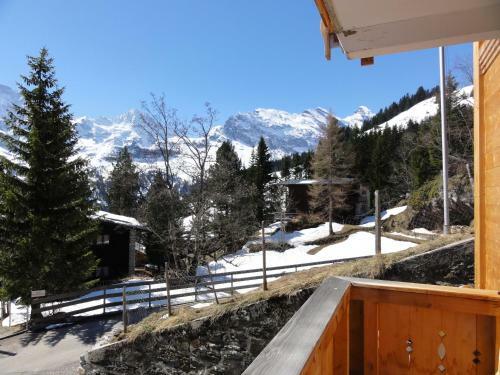 Apartamento Chalet Sch�nb�hl