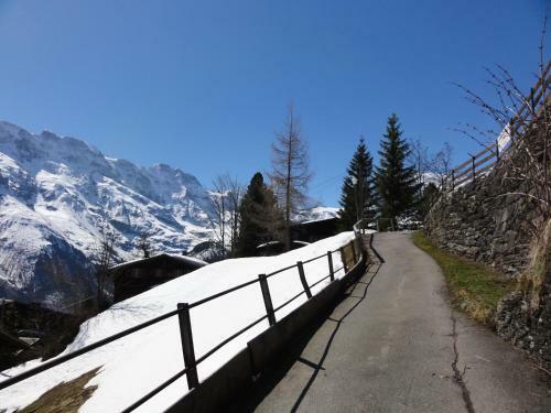 Apartamento Chalet Sch�nb�hl