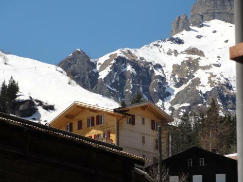 Apartamento Chalet Sch�nb�hl