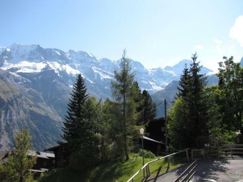 Apartamento Chalet Sch�nb�hl