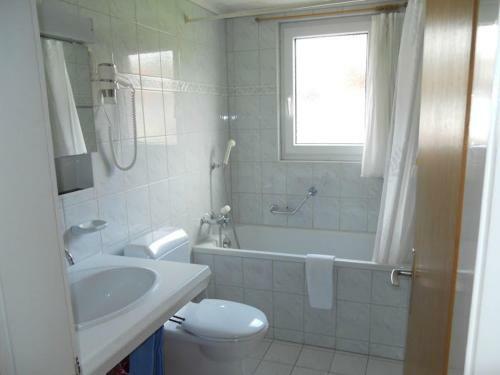 Apartamentos Chalet Anemone 2