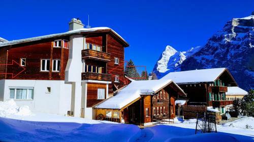 Apartamentos Chalet Anemone 2