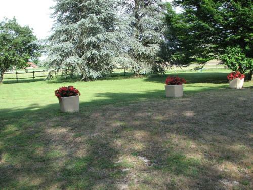 Bed & Breakfast Le Pas De L'ane