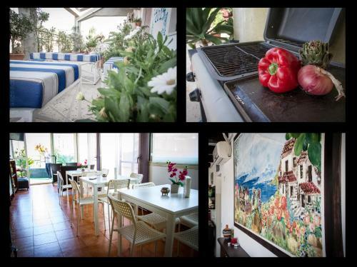Bed & Breakfast Panoramic