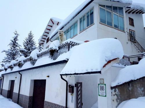 Bed & Breakfast La Pret�ra