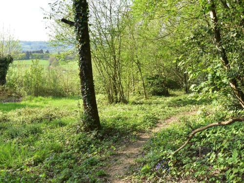 Holiday Home Laiterie Du Manoir De Thard Onlay