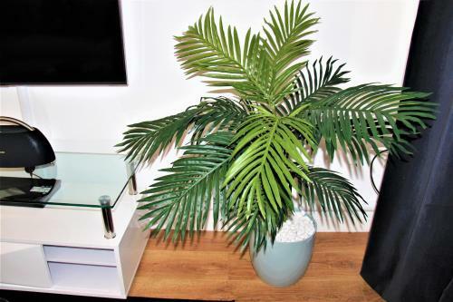 Apartamento Roomstayer