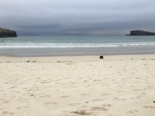 Eco Crofters Wagon By The Beach
