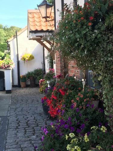 Acorn Cottage