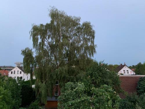 Apartamento Pension Mitte