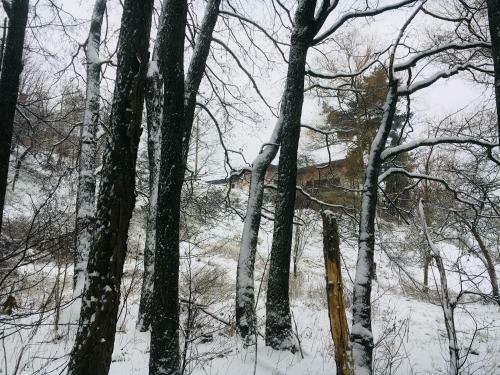 Apartamentos Ferienhaus Haagalm