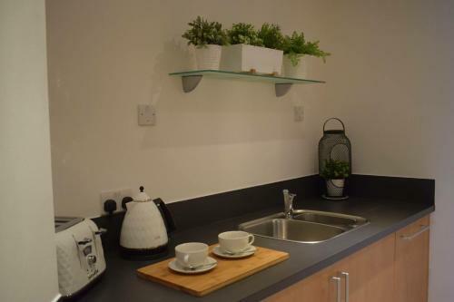 Luxury 2 Bed Apartment