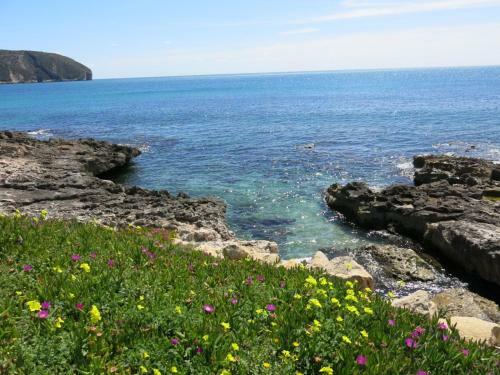 Apartamento Casa Sant Vicent 63