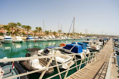 Fabulous Bungalow , Wifi, Swimming Pool And Beach