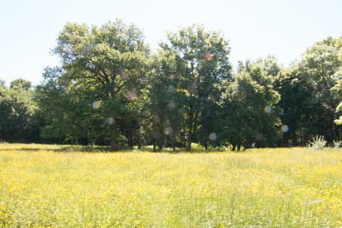 Bed & Breakfast La Grande Vesvre