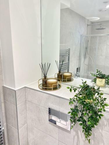 Bootham House Apartment-close To The Minster