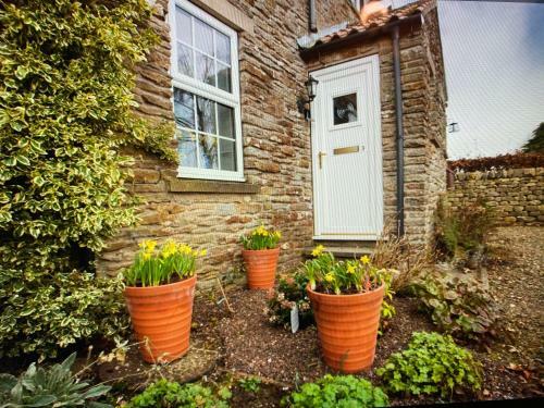 Secret View Cottage In Terrington, York