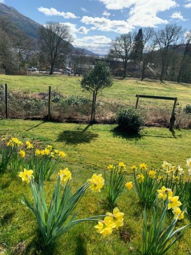 Bed & Breakfast Glebe Country House Tarbet