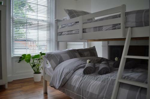 Apartment 4 Hamilton Square