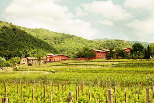 Agroturismo Agriturismo L'uva E Le Stelle