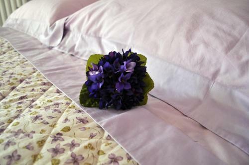 Olivia Bed And Breakfast
