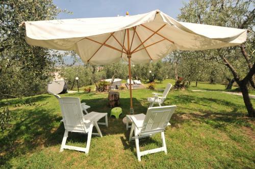 Olivia Bed And Breakfast