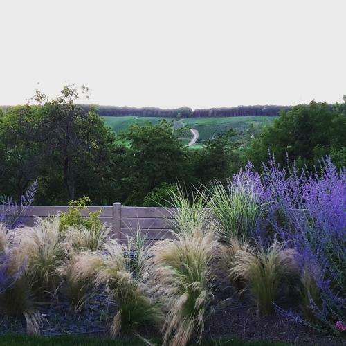 G�te Mill�sime Et Une Nuit
