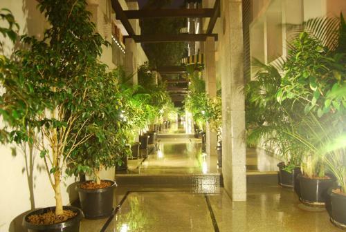 Apartamento Sterling Suites