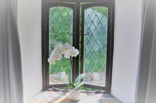 Bed & Breakfast Demelza Cottage