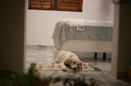 Apartamento Cozy And Beautiful Loft In Downtown Bacalar