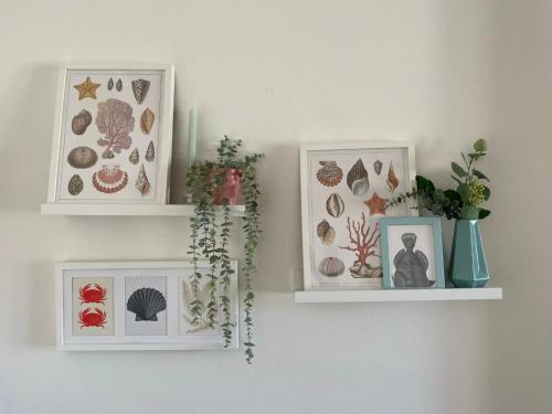 Apartment Happiness