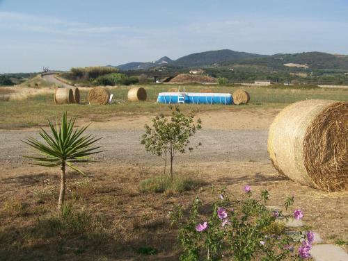 Agroturismo Agriturismo La Nocciolina
