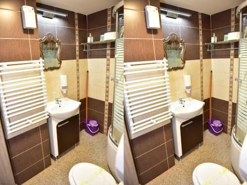 Hostal Pensiunea Dely_cios