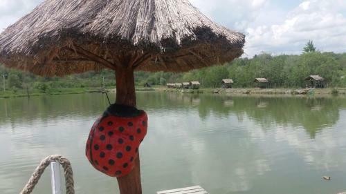 Hostal Pensiunea Dely_cios