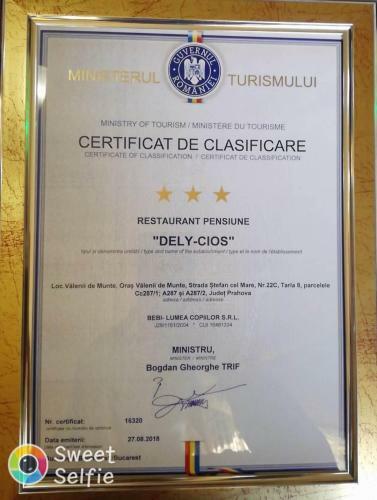Hostal Pensiunea Dely_cios