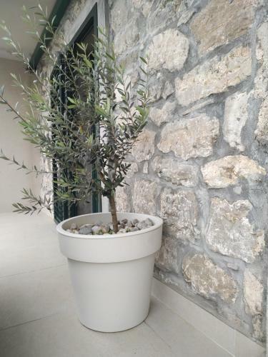 Apartamento Budva Rest House