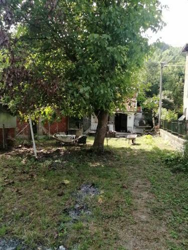 Apartman Dora
