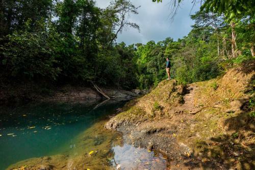 Drake Bay River View - Glamping Eco Lodge