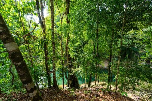 Drake Bay River View - Glamping Eco Lodge