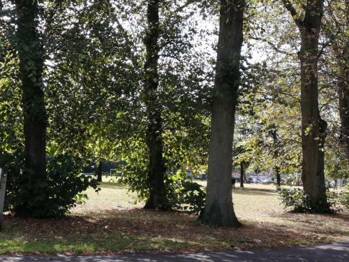 Immaculate 5-bed House In Central Birmingham