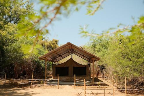 Beneath The Baobabs