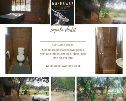 Bosveld Bruilof & Bushaway Lodge