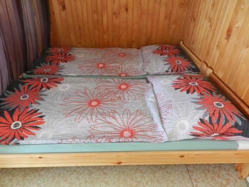 Moravia Sol�?, Horsk� Chata