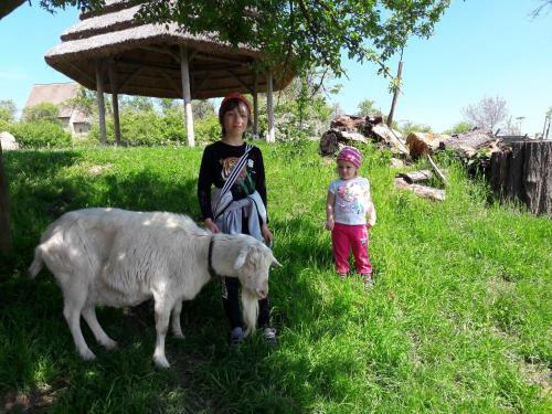 Hotel Babsk�