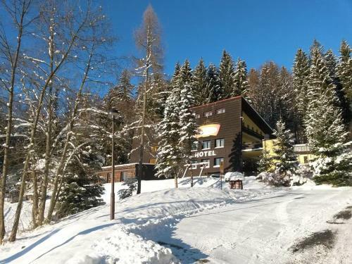 Hotel Babsk�