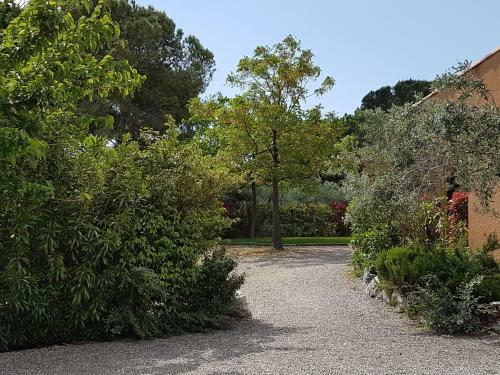 Apartamento Y'a Pas De L�zard