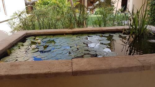 Apartamento Y'a Pas De L�zard