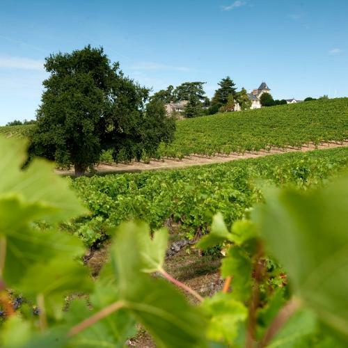 Bed & Breakfast Ch�teau Soucherie
