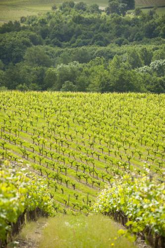 Bed & Breakfast Ch�teau Soucherie
