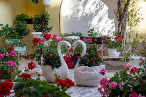 Hostal Boutique Guest House 'sofia'